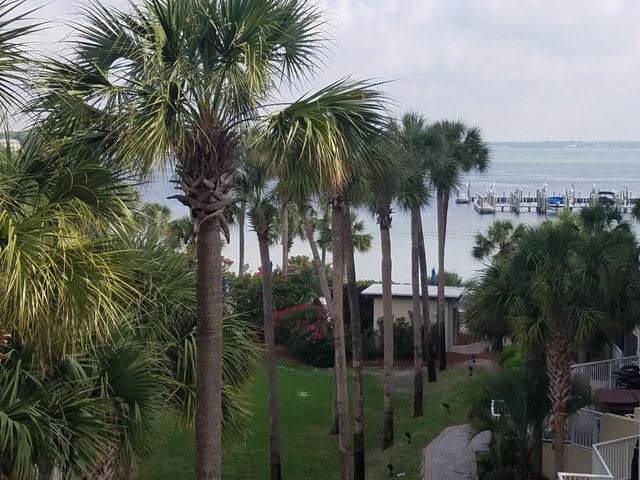 20180519_084409.jpg