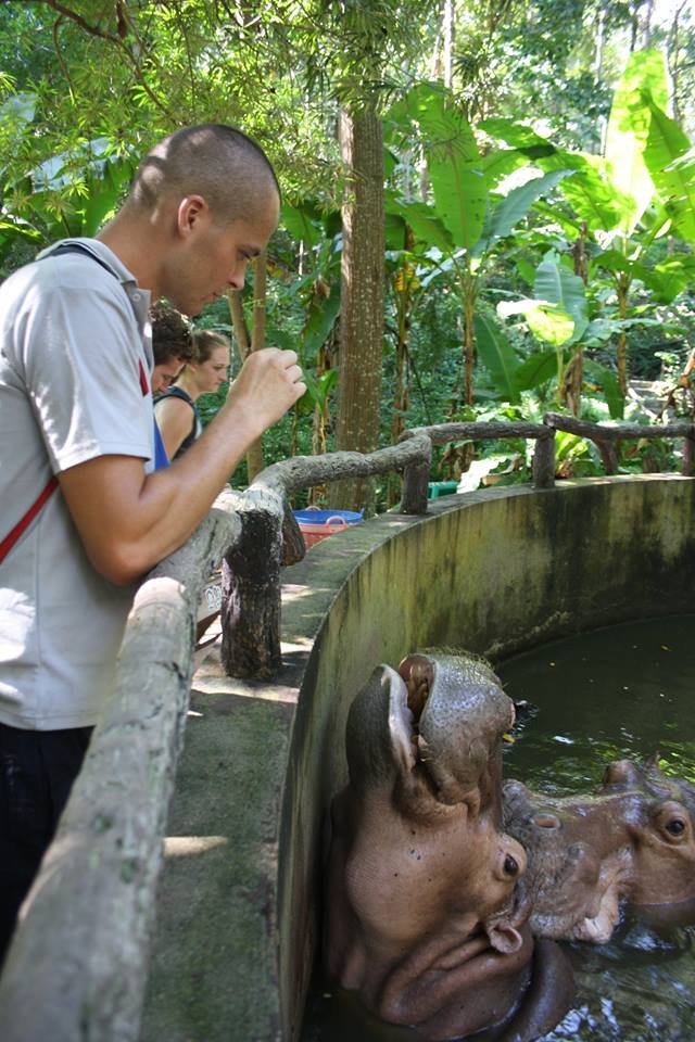 chiang mai zoo thailand.jpg