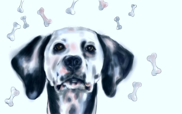 sketch-1518014251786.jpg