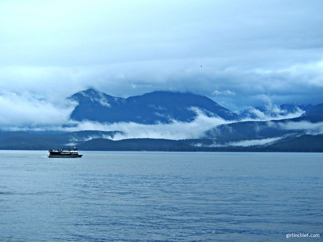 whale-watching-juneau.jpg