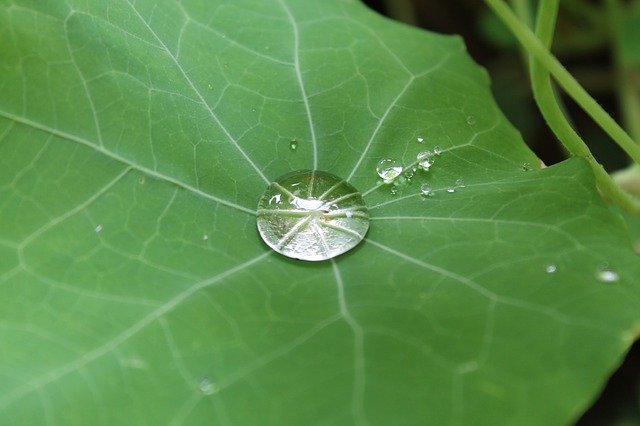 drip-451080_640.jpg