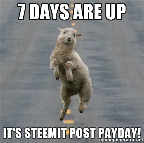 7-days-are-up-its-steemit-post-payday.jpg