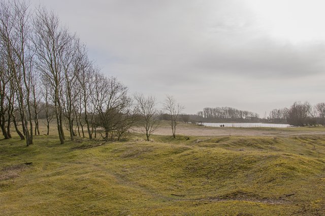 amsterdamse-waterleidingsduinen-1.jpg