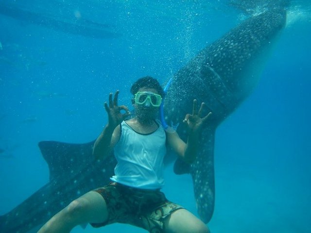 whalesharksselfie.jpg