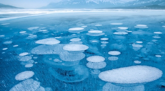 frozen air bubbles in abraham lake.PNG