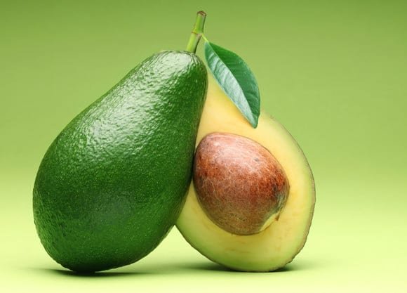 avocado-0010.jpg