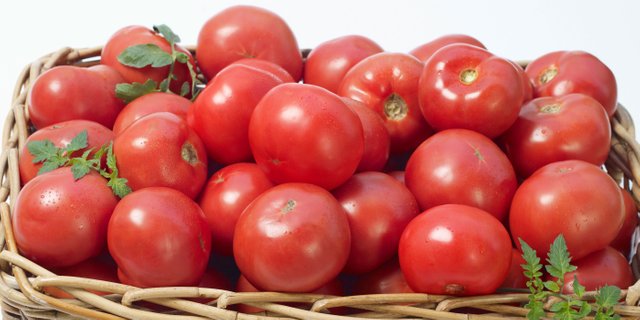 2016-Basket-of-Tomatoes-EventBrite.jpg