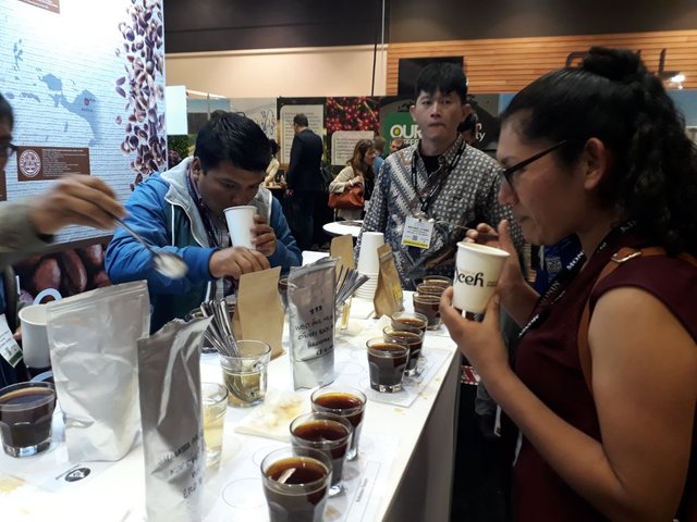 Kopi Gayo Aceh Jadi Primadona di Global Specialty Coffee Expo Amerika Serikat-Disbudpar Aceh1.jpeg