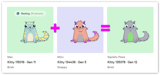 CryptoKitty-Breed-02-SteemPowerPics.png