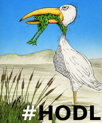 HODL.jpg