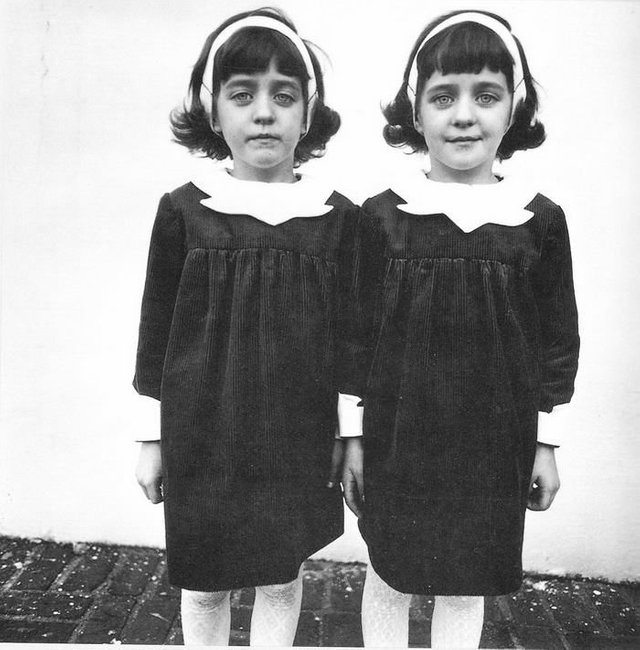 Twins-by-Diane-Arbus.jpg