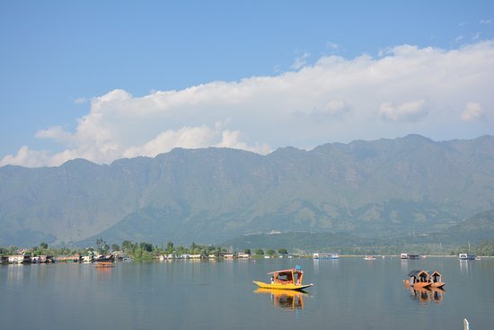 dal-lake-1.jpg