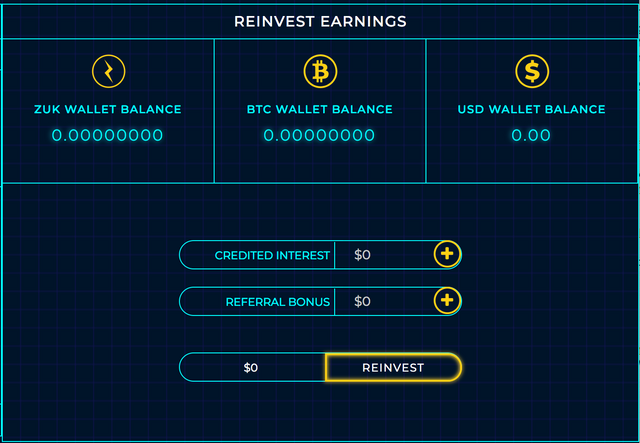 REINVEST EARNINGS.png