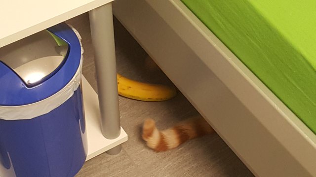 20171214_225704.jpg