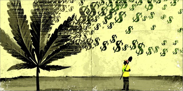 Why-The-Cannabis-Industry-is-Loaded-with-False-Information-investors.jpg
