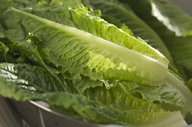 bigstock-Fresh-Romain-Lettuce-3306865-696x462.jpg