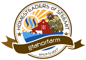 homesteading_badge.png