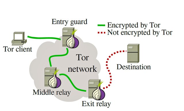 tor-structure.jpg