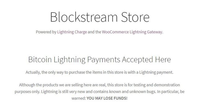 blockstream store.JPG