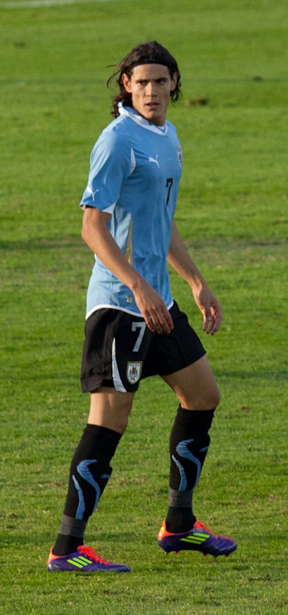 Edinson_Cavani_2011.jpg