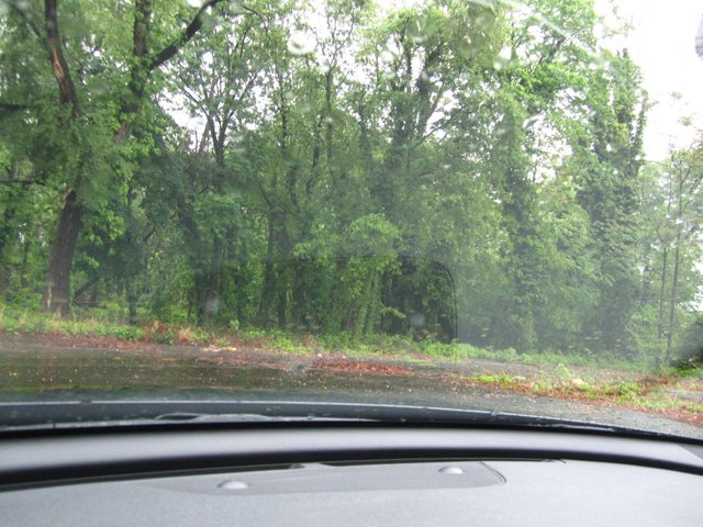 rainpic2.jpg