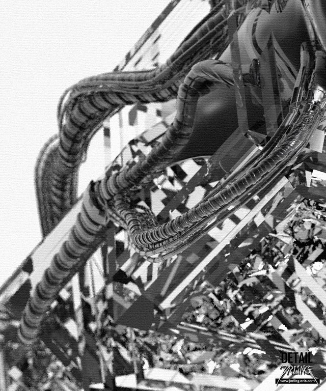 Assimilation_Detail2.jpg