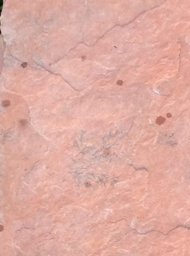 StoneTexture.JPG