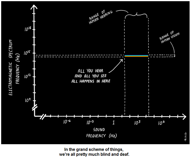 sound-visual-spectrum-graph.png