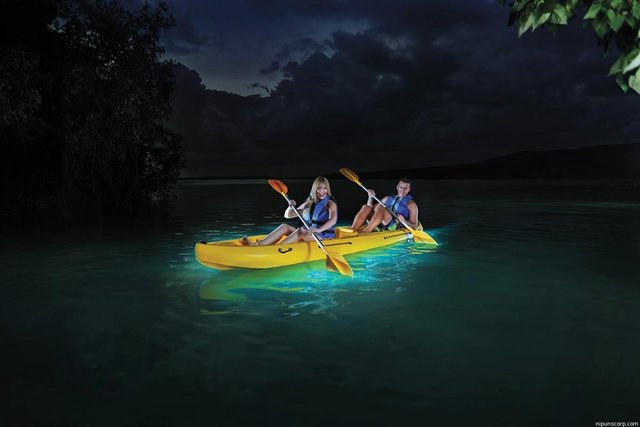 Puerto-Rico-Kayaking-Bio-Bay.jpg