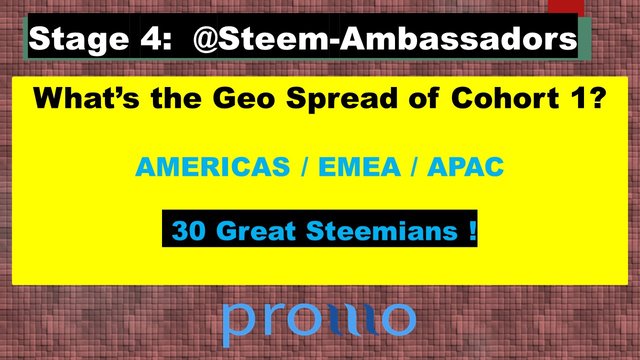Steem Ambassador Applicants 1 new.jpg