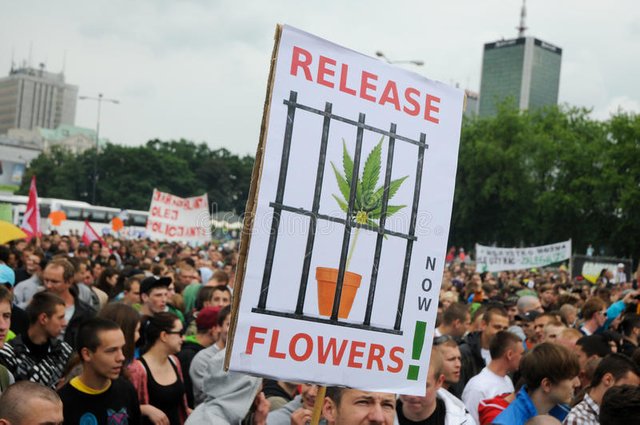 history-of-marijuana-legalize-cannabis.jpg