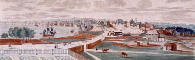 View_of_New_Orleans_Under_My_Wings_Every_Thing_Prospers_Crop_2.jpg