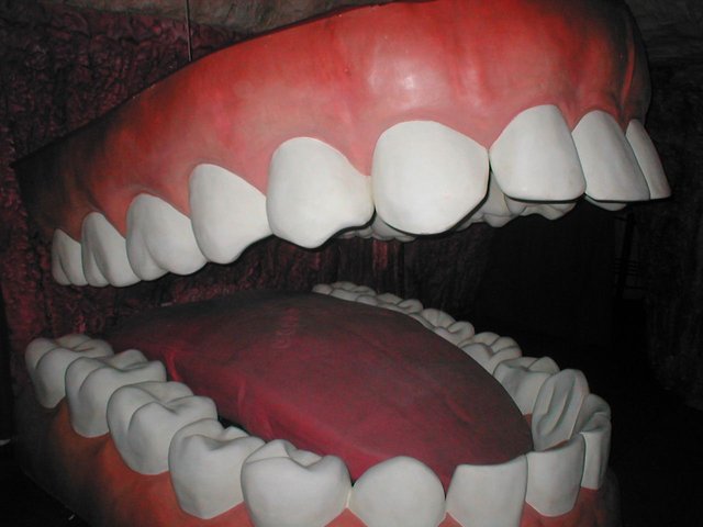 P1010032.JPG