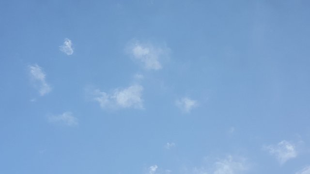 20180303_094307.jpg