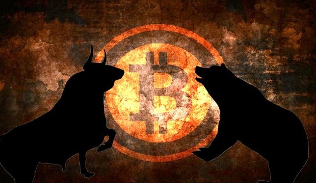 Bitcoin-Bears-And-Bulls_0.jpg