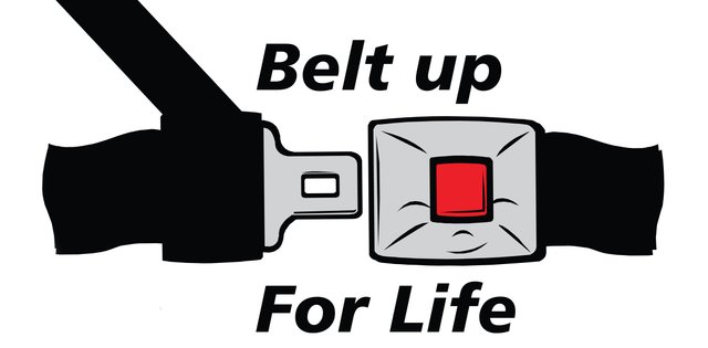 Belt-Up-for-Life.jpg