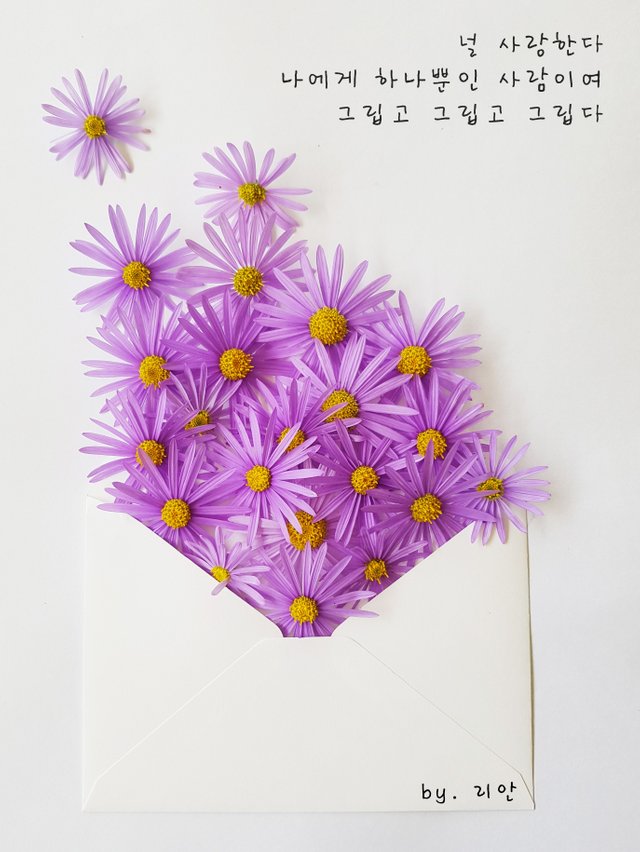 꽃편지.jpg