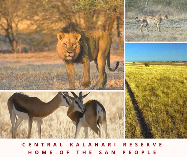 Central Kalahari Game Reserve FB.jpg