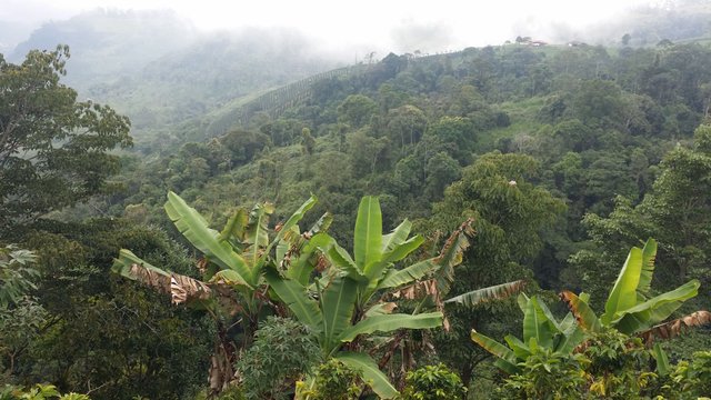 Misty Andean Mountains.jpg