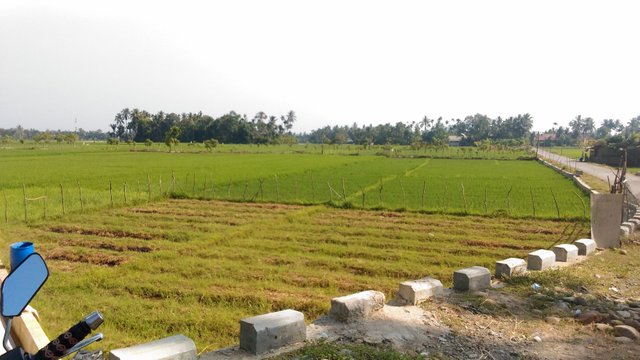 P_20170722_092117.jpg