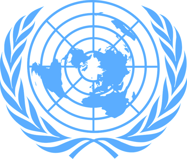 united-nations-303670_960_720.png