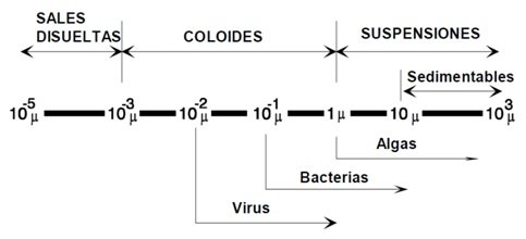 coloides.jpg