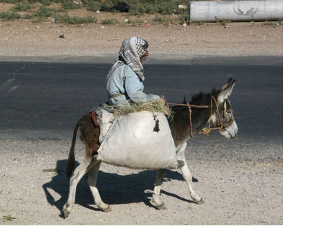 Near Aqaba, Jordan.jpg