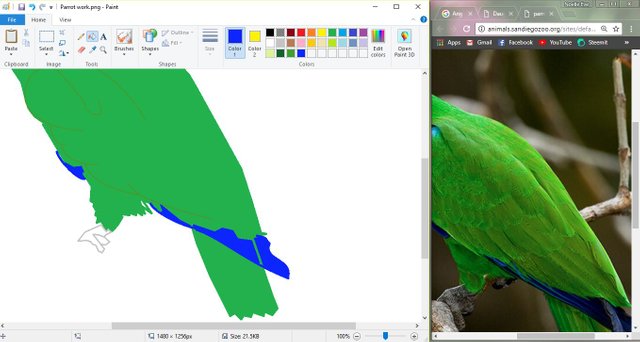 parot12.JPG