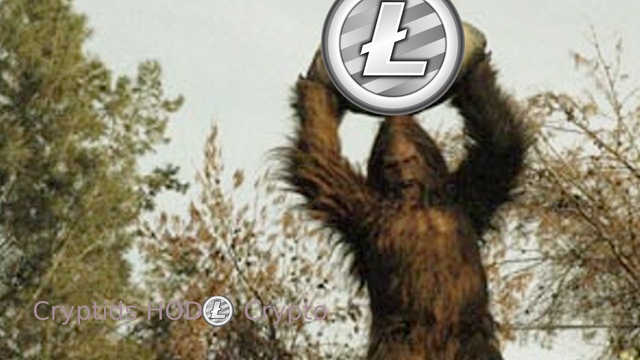 bigfoothodlcrypto.png