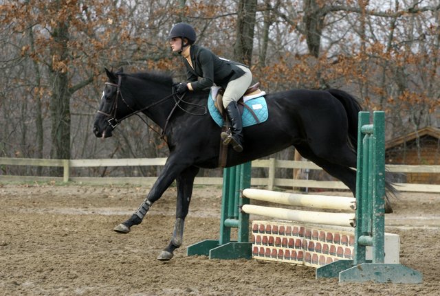 black_horse_jumping_at_horse_show_by_horsestockphotos-d557j3c.jpg