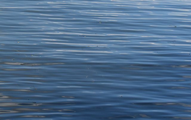 DSC_0044.jpg