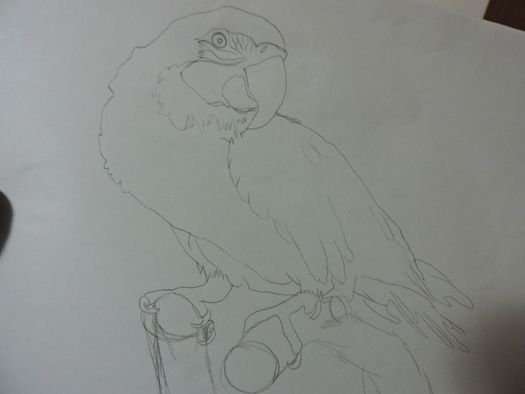 loro1.jpg