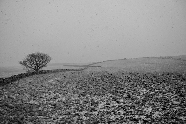 Yorskhire Snow_dsc956012.jpg