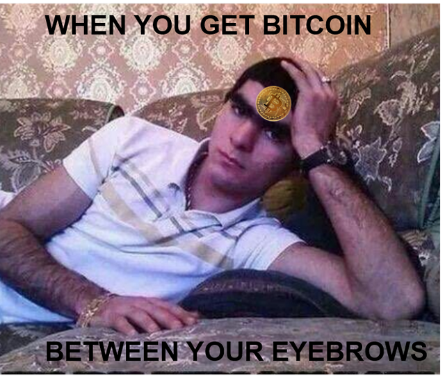 BTC EYEBROWS.png